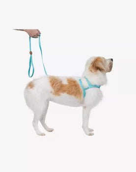 Conjunto Peitoral Tradicional e Guia Maresia